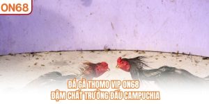 Đá Gà Thomo VIP